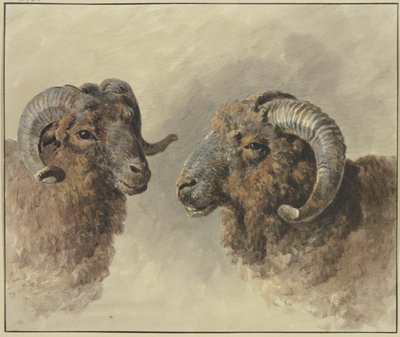 Due pecore da Jacob van Strij