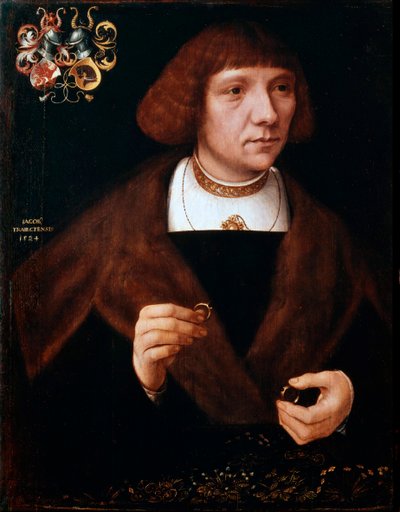 Ritratto maschile con Anelli da Jacob van Utrecht