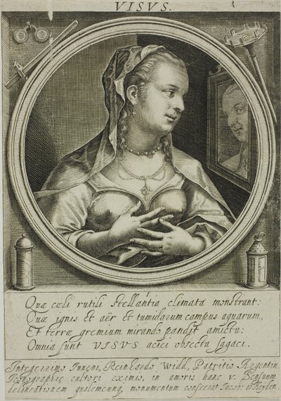 La vista, piatto unico de I cinque sensi da Jacob van der Heyden