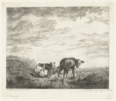 Tre vitelli da Jacobus Cornelis Gaal (signed by artist)