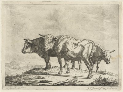 Tre buoi da Jacobus Cornelis Gaal