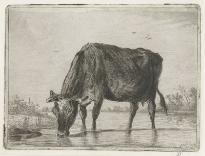 Mucca che beve da Jacobus Cornelis Gaal