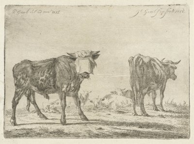 Toro bendato vicino a una mandria di bovini da Jacobus Cornelis Gaal