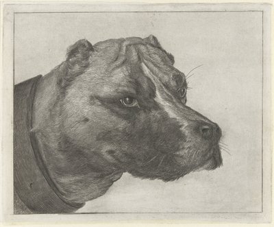 Testa di cane con collare da Jacobus Cornelis Gaal