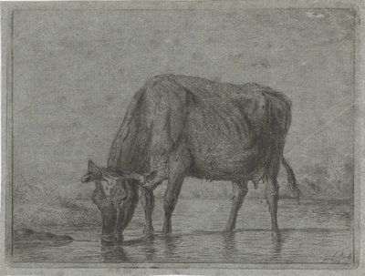 Mucca che beve da una pozza da Jacobus Cornelis Gaal