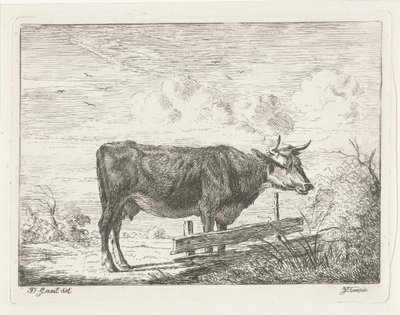 Mucca, in piedi vicino a un recinto da Jacobus Cornelis Gaal