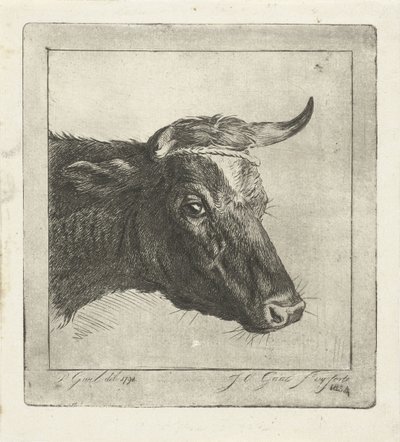 Testa di una mucca con corda intorno alle corna da Jacobus Cornelis Gaal