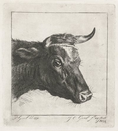 Testa di una mucca con corda attorno alle corna da Jacobus Cornelis Gaal