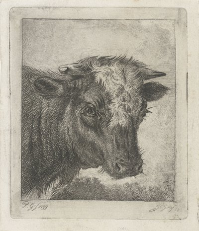 Testa di una mucca con macchia bianca da Jacobus Cornelis Gaal