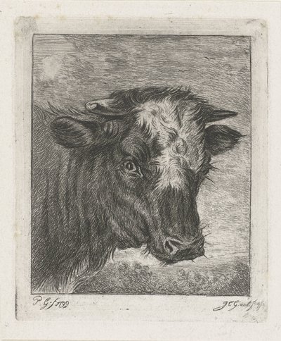 Testa di una mucca con macchia bianca da Jacobus Cornelis Gaal