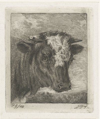 Testa di una mucca con macchia bianca da Jacobus Cornelis Gaal