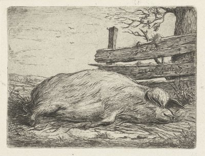 Cinghiale sdraiato da Jacobus Cornelis Gaal
