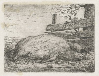Cinghiale sdraiato da Jacobus Cornelis Gaal