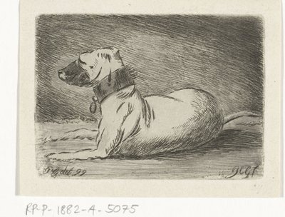 Cane sdraiato con collare da Jacobus Cornelis Gaal