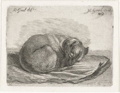 Cane che dorme su una coperta da Jacobus Cornelis Gaal