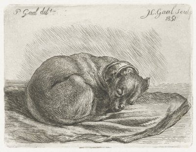 Cane addormentato su una coperta da Jacobus Cornelis Gaal