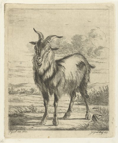 Capra in piedi da Jacobus Cornelis Gaal