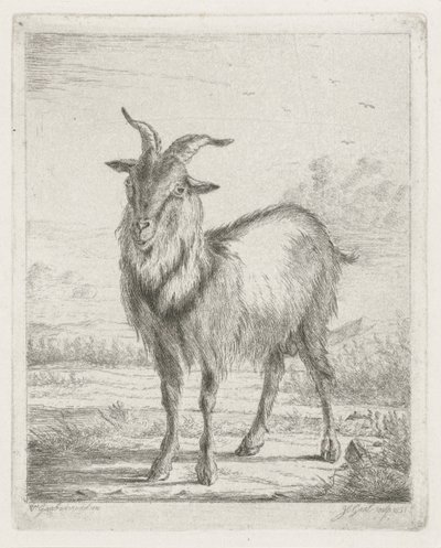 Capra in piedi da Jacobus Cornelis Gaal