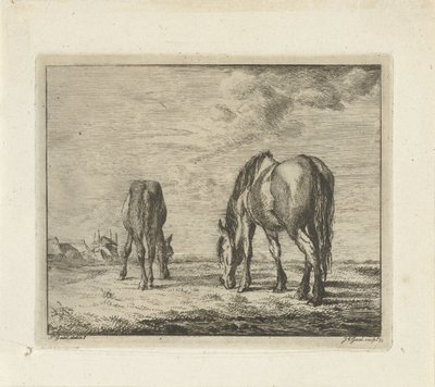 Due cavalli al pascolo da Jacobus Cornelis Gaal