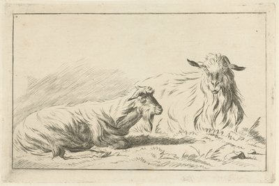 Due capre sdraiate da Jacobus Cornelis Gaal