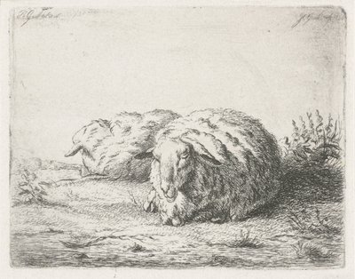 Due pecore sdraiate da Jacobus Cornelis Gaal