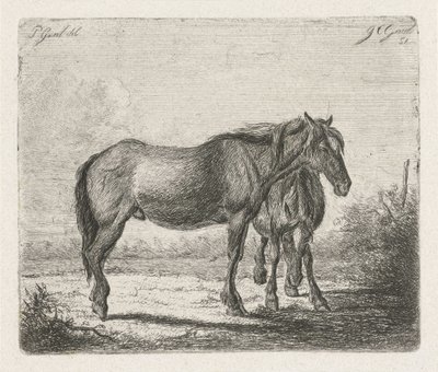 Due cavalli da Jacobus Cornelis Gaal