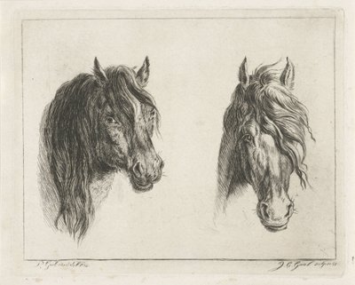 Due teste di cavallo da Jacobus Cornelis Gaal