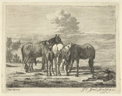 Quattro cavalli e due puledri da Jacobus Cornelis Gaal