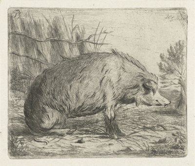 Cinghiale seduto da Jacobus Cornelis Gaal