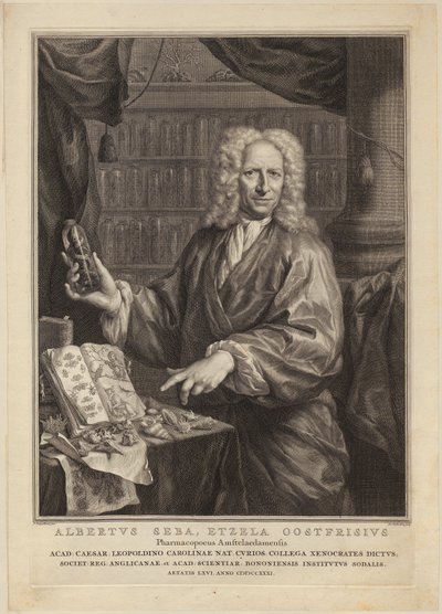  da Jacobus Houbraken