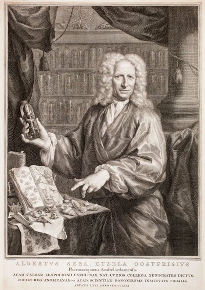  da Jacobus Houbraken