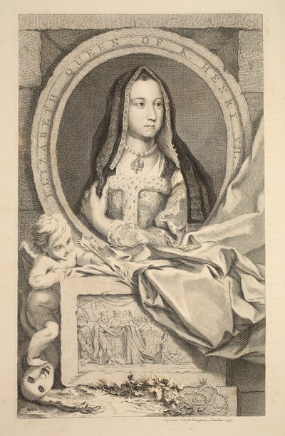 Ritratto di Elisabetta, Regina di Enrico VII, illustrazione da 