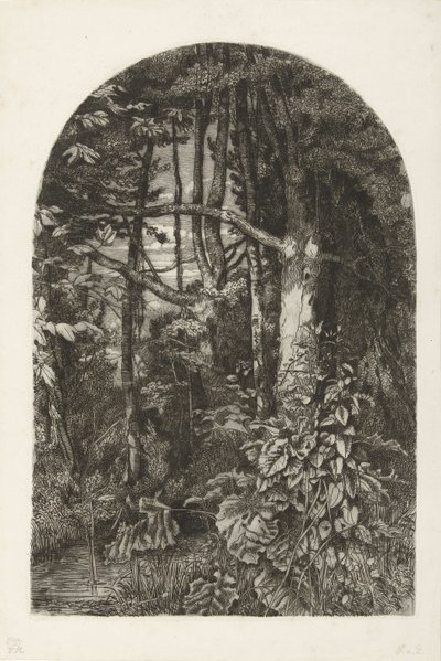 Bosco con ruscello da Jacobus Ludovicus Cornet