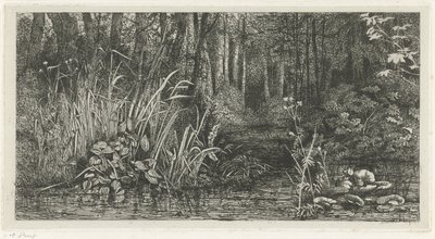 Ruscello nel bosco da Jacobus Ludovicus Cornet