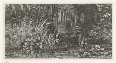 Ruscello nel bosco da Jacobus Ludovicus Cornet