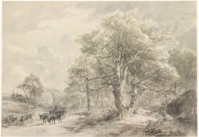 Paesaggio invernale da Jacobus Pelgrom