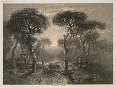 Opere di A. Calame, No. 13: Foresta di Sierre in Vallese da Jacomme and Cie. R. de Lancry, 12, Paris