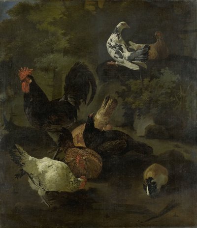 Un gallo, galline, colombe e una marmotta da Jacomo Victors