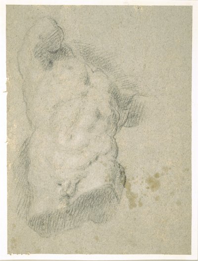 Disegno di un torso maschile da Jacopo Bassano