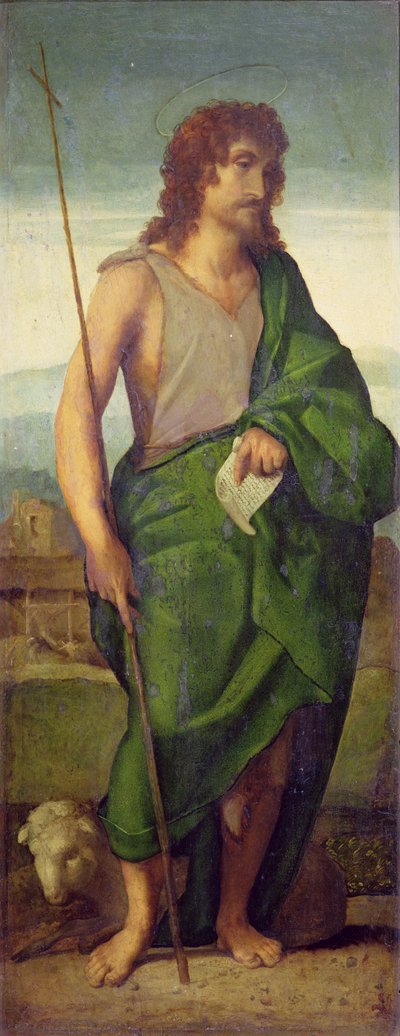 San Giovanni Battista (olio su tavola) da Jacopo (c.1480-1528) Palma
