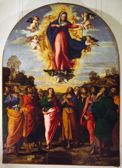 Assunzione della Vergine da Jacopo (c.1480 1528) Palma