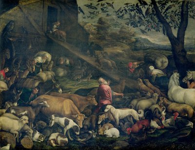 Animali che entrano nell