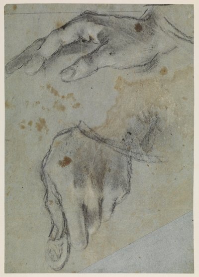 Studi di mani, recto, XVI secolo da Jacopo Bassano