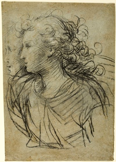 Vista a mezzo busto di una donna di profilo a sinistra (recto); Vista a mezzo busto di una figura di tre quarti di profilo (verso) da Jacopo Confortini