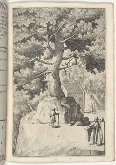 Faggio della campana [tavola X] da Jacopo Ligozzi