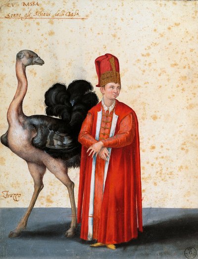 Schiavo con struzzo, disegno di Jacopo Ligozzi da Jacopo Ligozzi