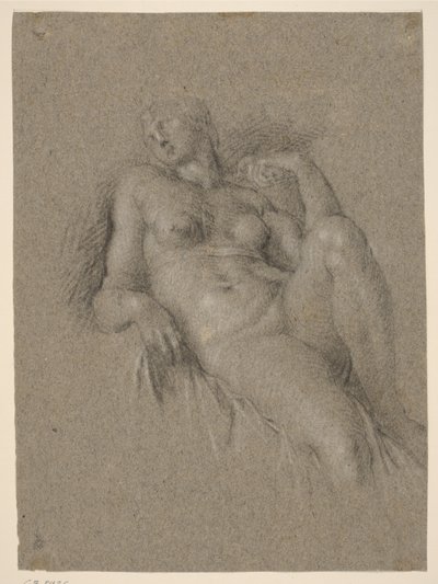 Copia dell