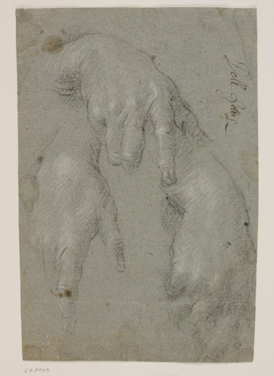 Tre studi di una mano destra da Jacopo Palma