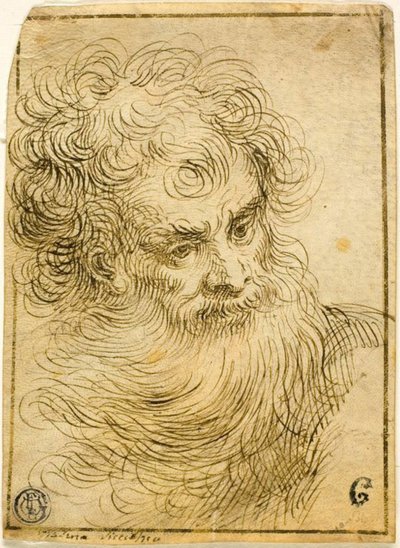 Testa di Vecchio Barbuto (recto); Schizzo Decorativo di Fiore e Foglie (verso) da Jacopo Palma il Giovane