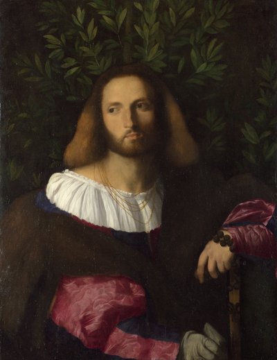 Ritratto di un Poeta Ludovico Ariosto da Jacopo Palma il Vecchio the Elder